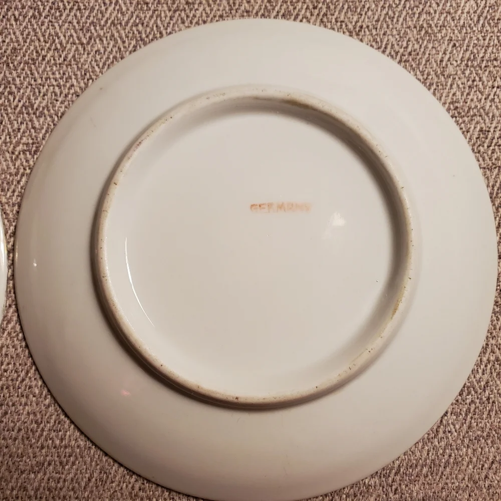 Pair of Vintage Plates from Germany